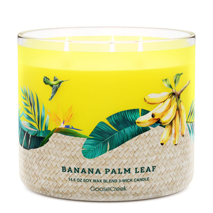 Banana Palm Leaf 3-Wick Candle