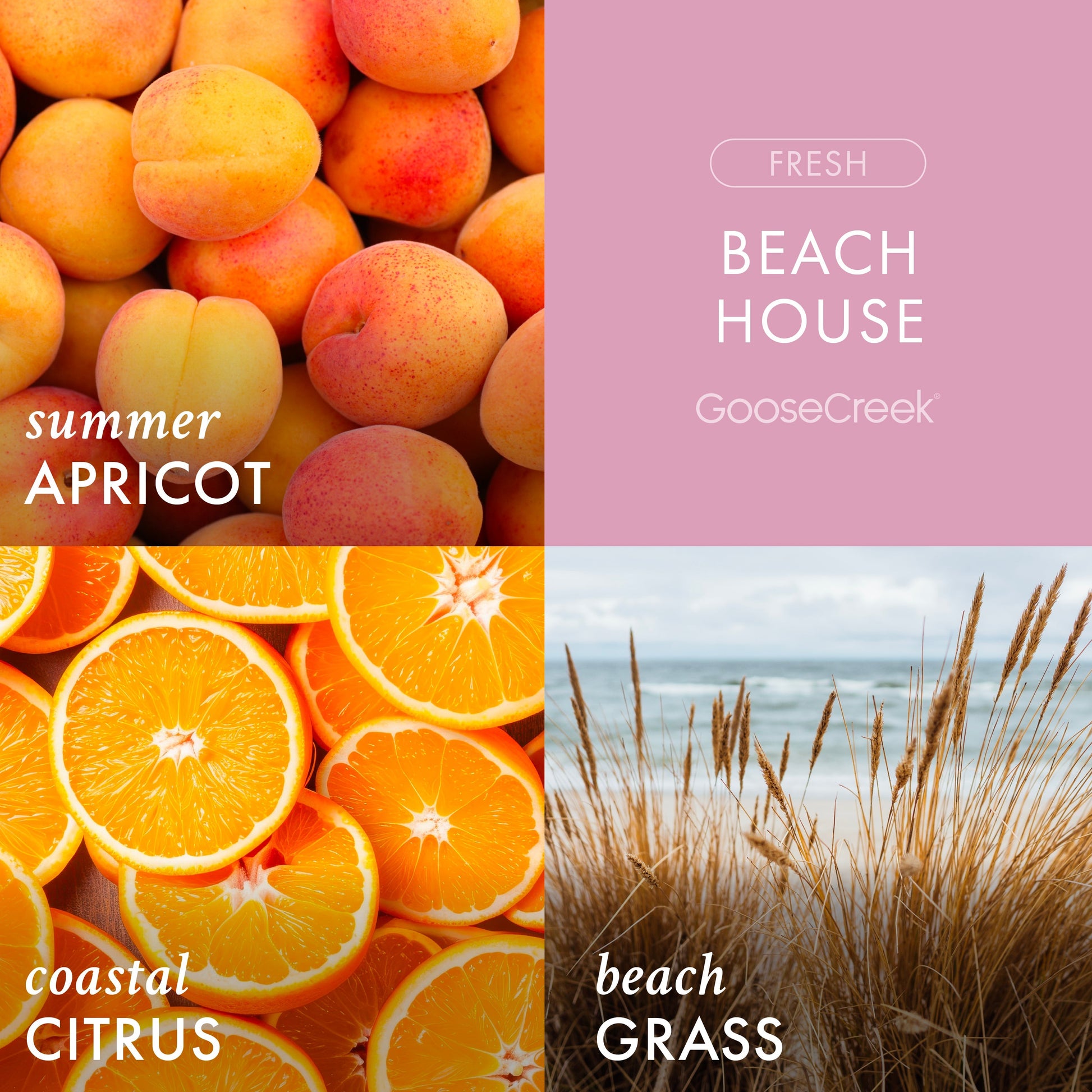 Beach House 3-Wick Candle