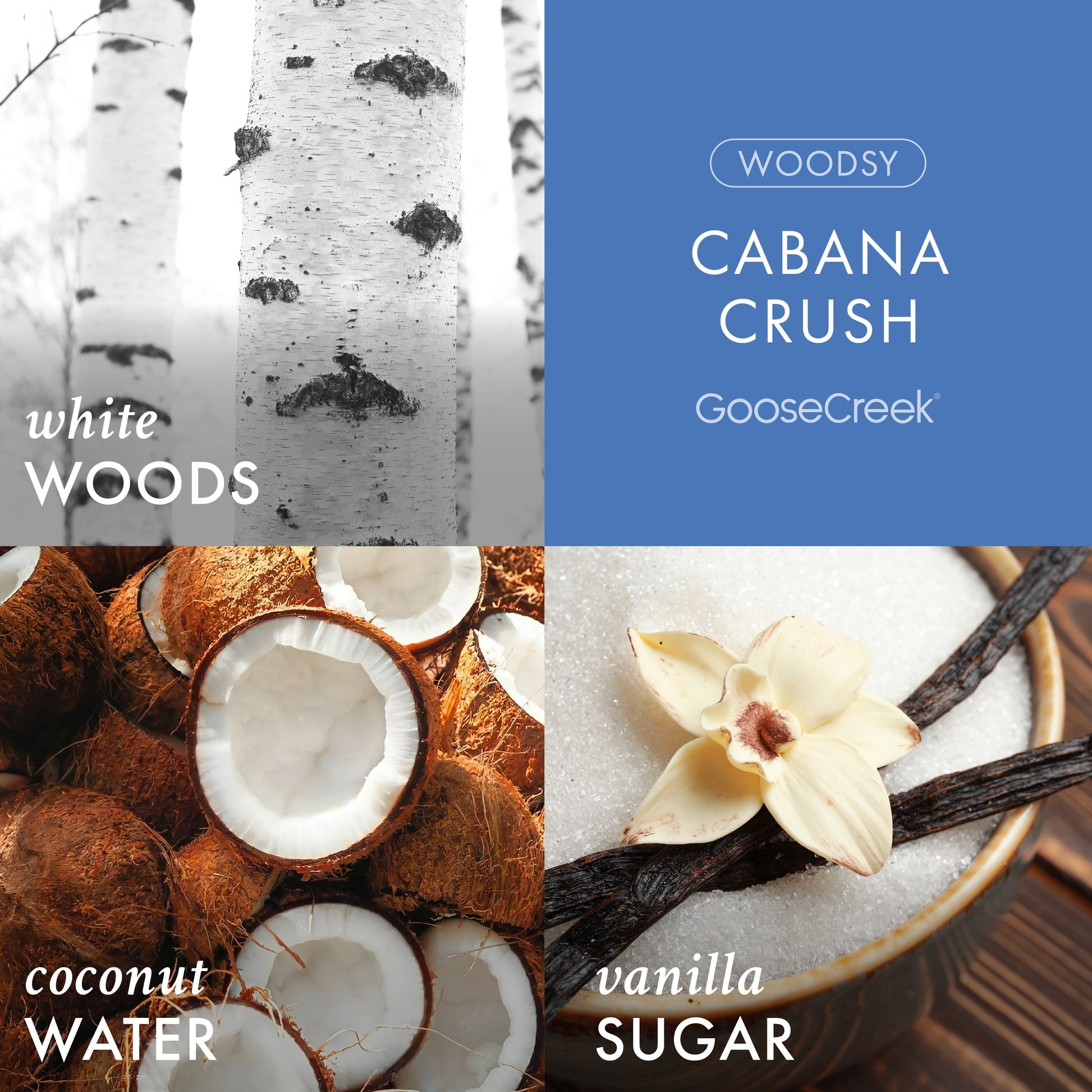 Cabana Crush 3-Wick Candle